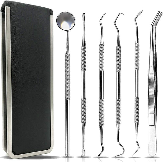 6pcs Stainless Dental Tools Set Kit W/ Bag (FS22)