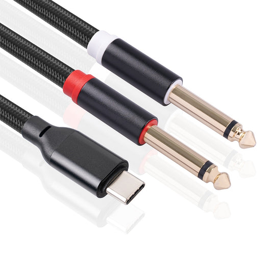 Premium 1M Type C to Dual 6.35mm 1/4 inch mono Audio Cable-ES10